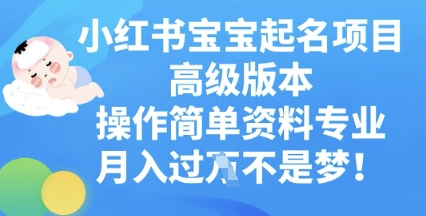 小红书宝宝起名项目高级版本,操作简单,资料专业,月入过W-零点工坊