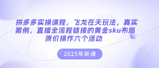 拼多多实操课程,飞龙在天玩法,真实案例,直播全流程链接的黄金sku布局原价操作六个活动-零点工坊