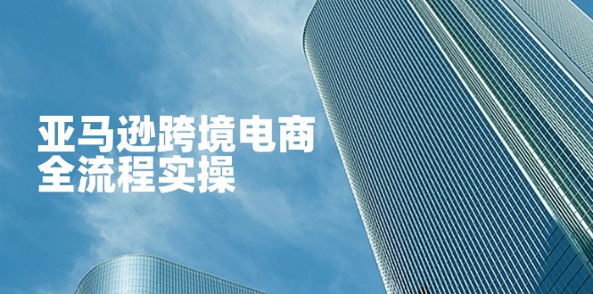 (14252期)亚马逊跨境电商全流程实操,教你从零开始,掌握店铺运营与广告技巧-零点工坊