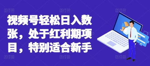 视频号轻松日入数张,处于红利期项目,特别适合新手-零点工坊