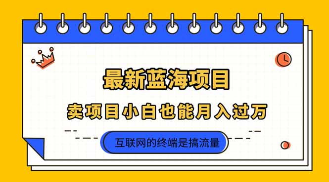 (14289期)2025年最新蓝海项目,卖项目小白也能月入过万-零点工坊
