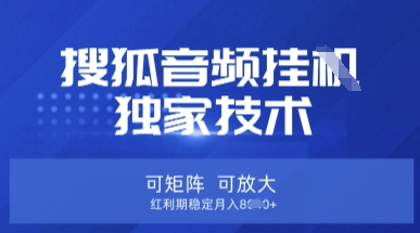 【搜狐音频挂G】独家技术,可矩阵可放大,红利期稳定月入8k【揭秘】-零点工坊