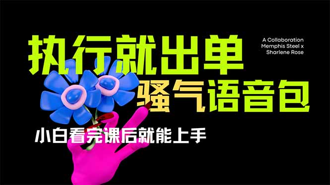 (14170期)爆火全网的开车导航骚气语音包,只要执行就出单,小白看完课程就能实操...-零点工坊