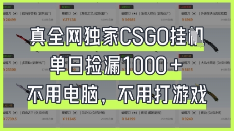 真全网独家CSGO挂G,单日捡漏1k+【揭秘】-零点工坊
