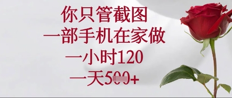 你只管截图,一部手机在家操作,一小时120.一天5张【揭秘】-零点工坊